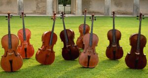 Concerto di Natale, Sala Bianca Teatro Sociale, Via Bellini 3 (Como), sabato 14 dicembre 2024 ore 18.30